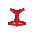Adjustable Dog Harness and Leash Set