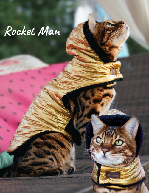 Adventure Cat Hoodie Collection - Reversible Cat Jacket