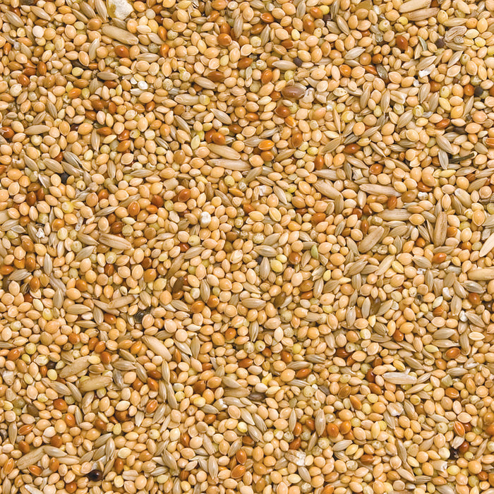 Budgie Seed 2kg