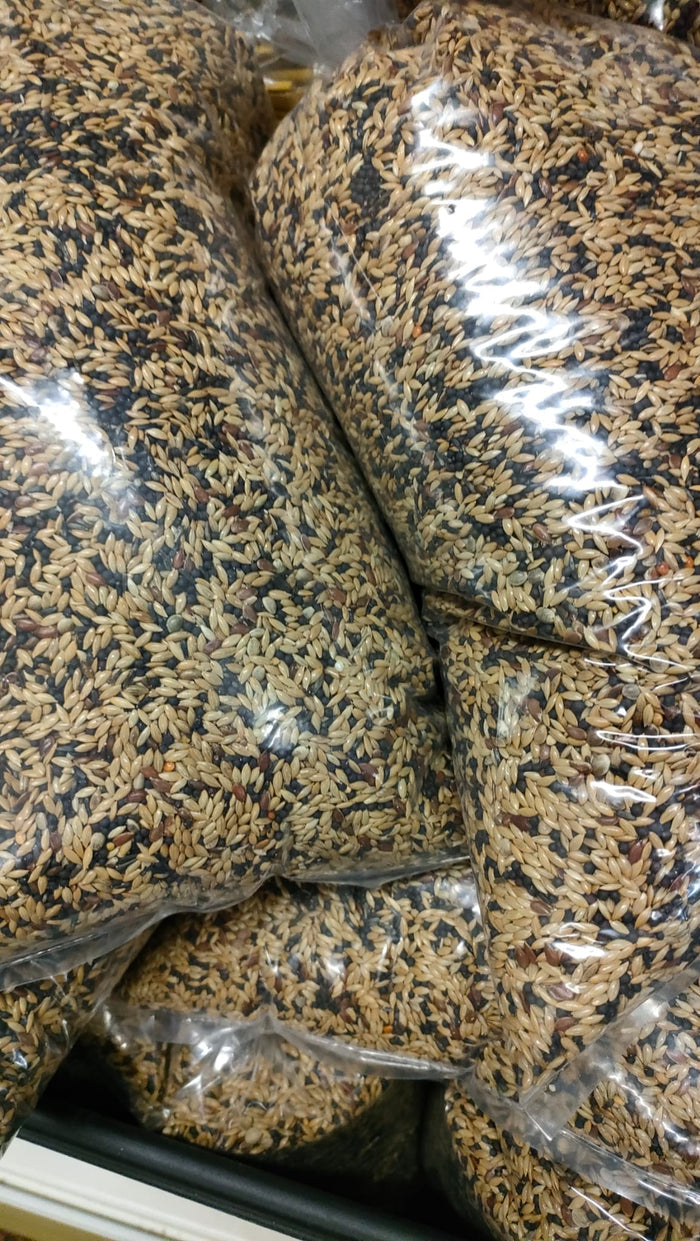 Canary Seed 2kg