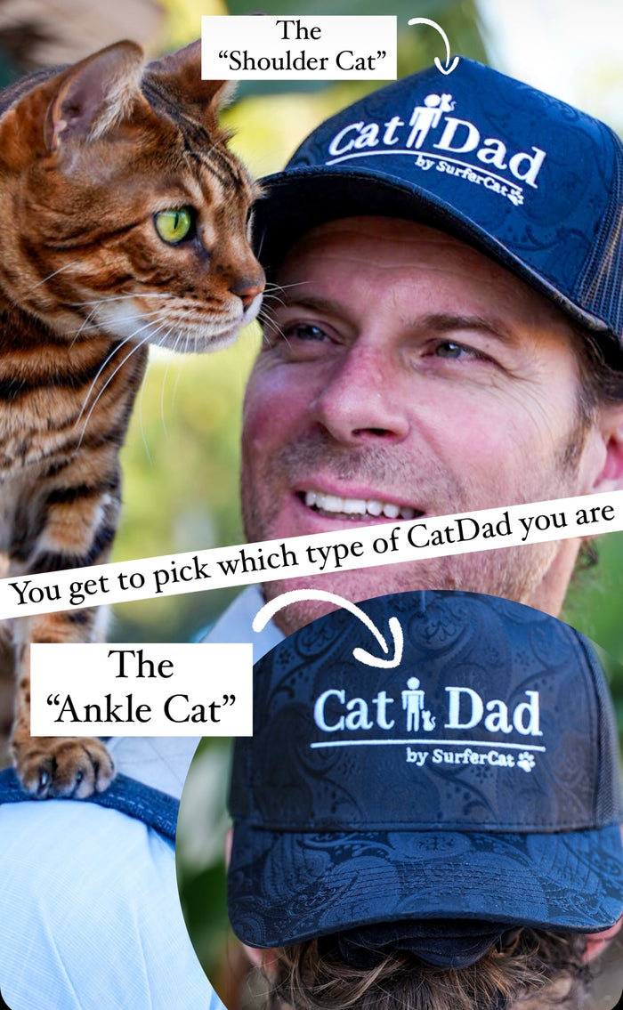 Cat-Dad Hat