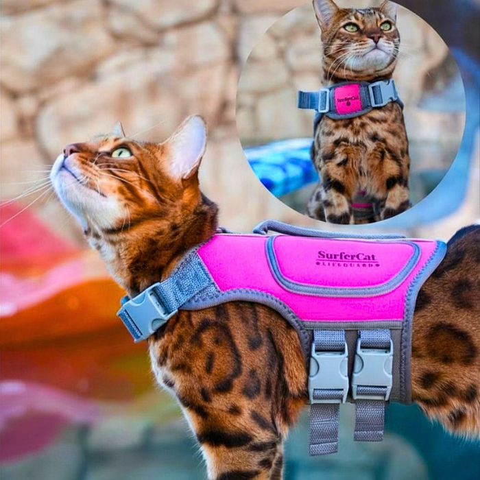 Cat Life Jacket