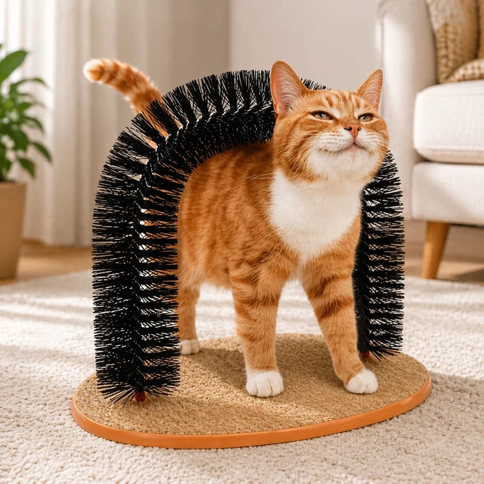 Cat Self-Grooming Arch Brush & Scratching Mat