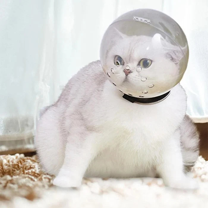 Cat space hood anti bite and break for cats