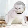 Cat space hood anti bite and break for cats