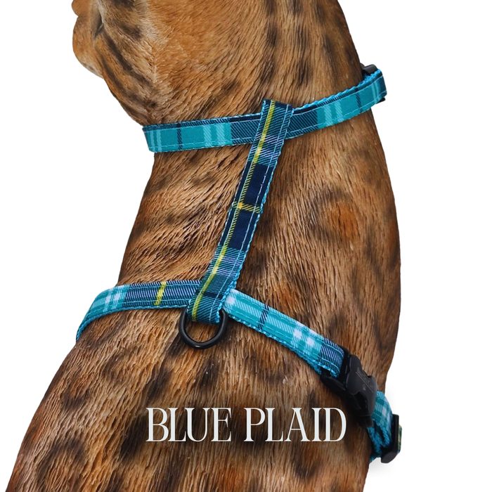 Classic Plaid Collection