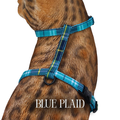 Classic Plaid Collection