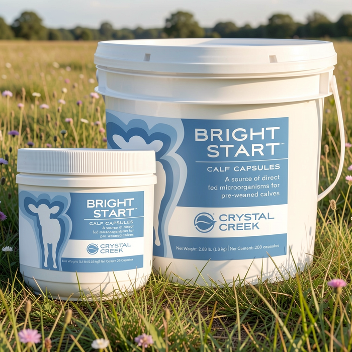 Crystal Creek® Bright Start Calf (25 Capsules) (Code 66)