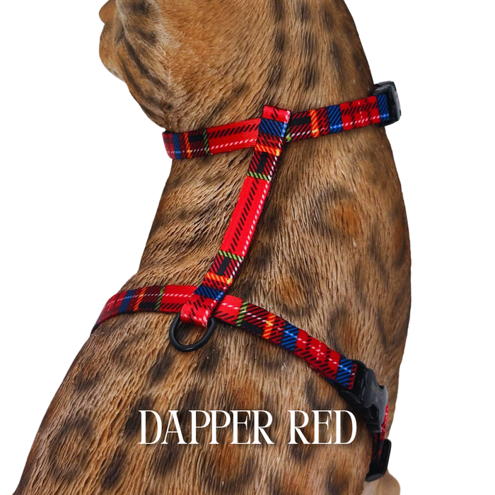 Dapper Collection - Escape Proof