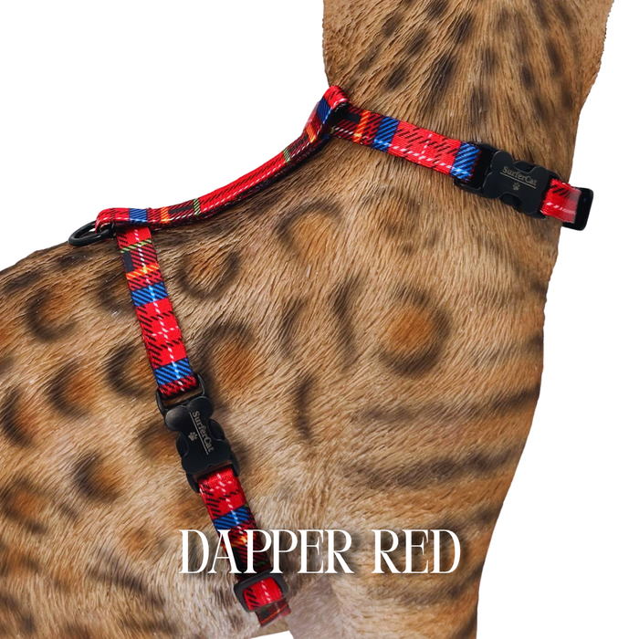 Dapper Collection - Escape Proof