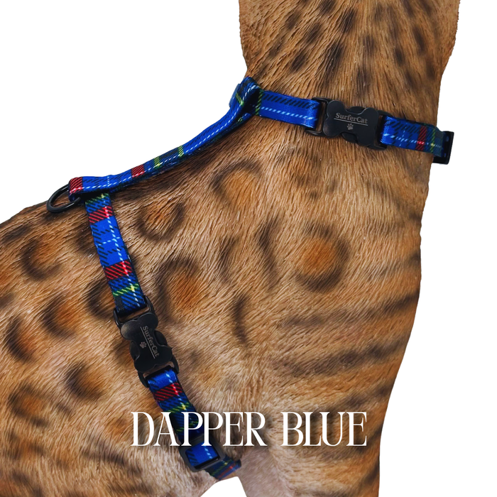 Dapper Collection - Escape Proof