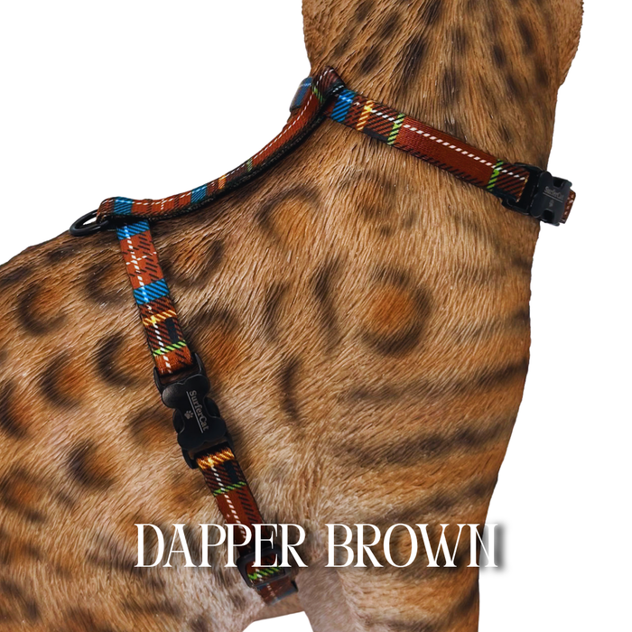 Dapper Collection - Escape Proof