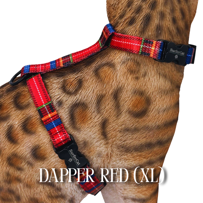Dapper Collection - Escape Proof