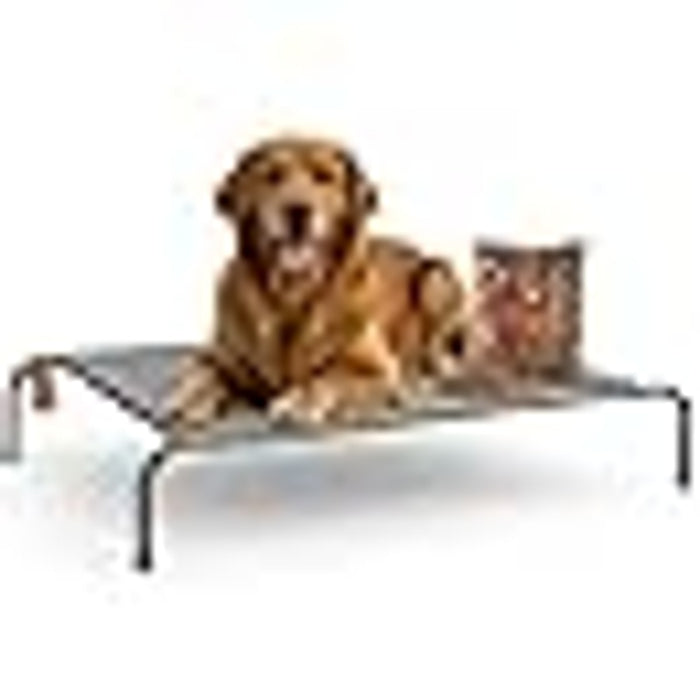 Elevated Waterproof Dog Bed with Free Mutton Biscuits