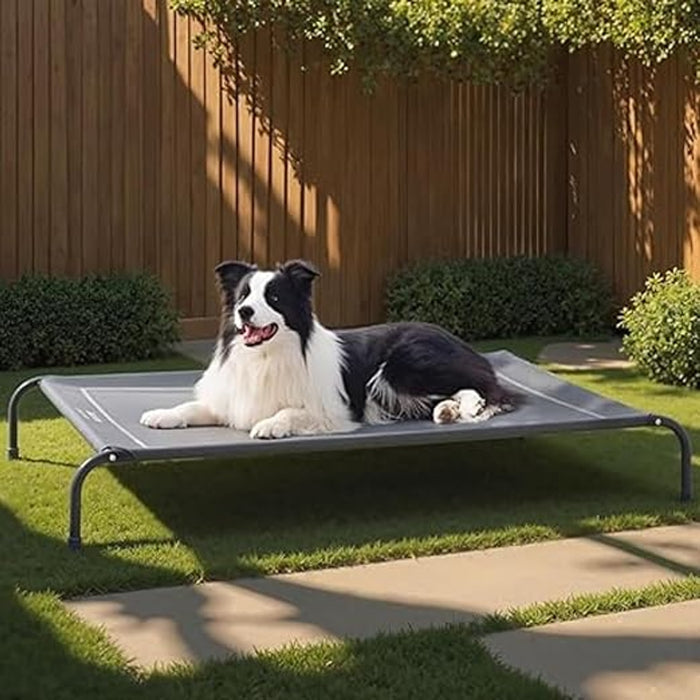 Elevated Waterproof Dog Bed with Free Mutton Biscuits