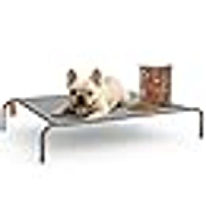 Elevated Waterproof Dog Bed with Free Mutton Biscuits XN-VMZ3-A00W