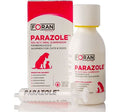 FORAN PARAZOLE WORMER DOG/CAT 100ML