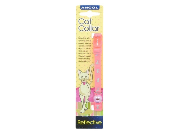 Hi Vis Safety Cat Collar