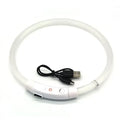 LED Light Up Dog usb Rechargearble