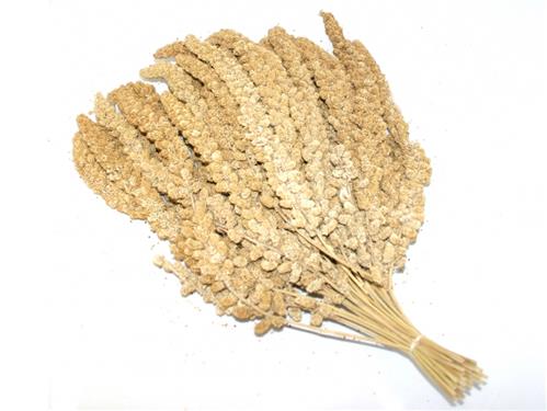 Loose millet 1 KG BAG