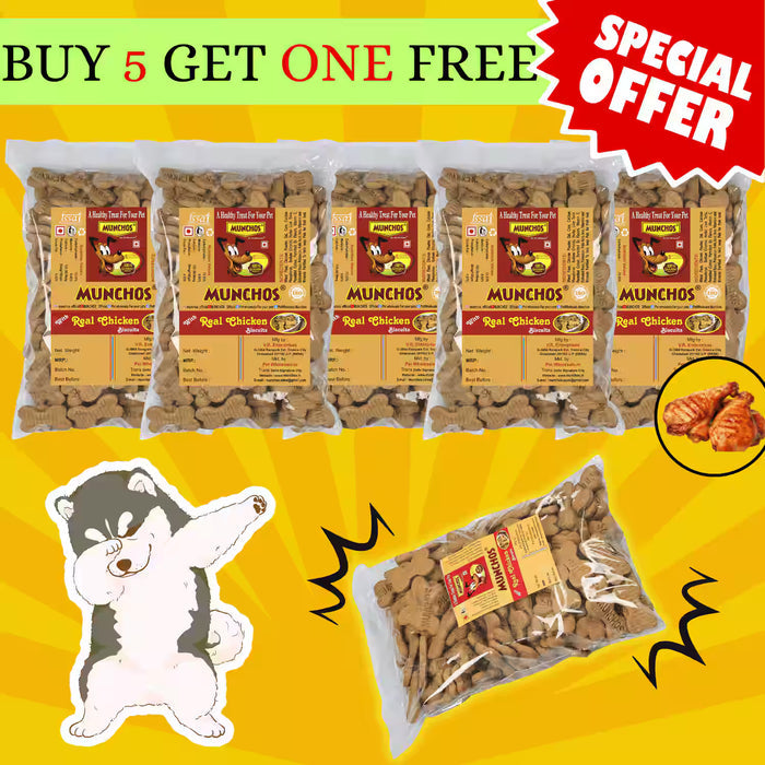Munchos Chicken Dog Biscuits 6KG - Crunchy Treats