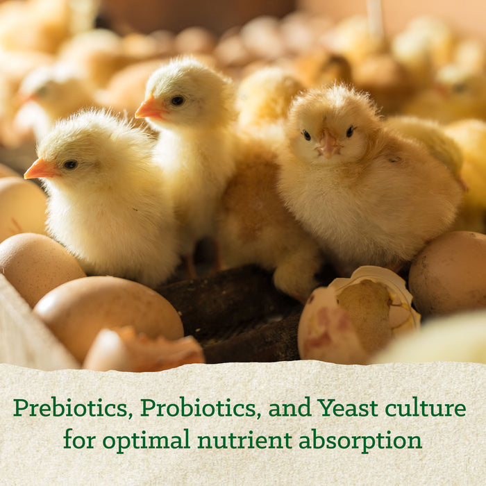 NatureWise® Chick Starter Grower 18% Protein Crumble Medicated