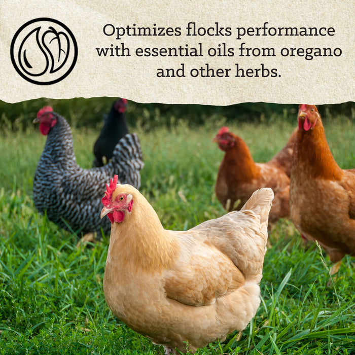 NatureWise® Free-Range Egg Producer 21% Protein Pellet