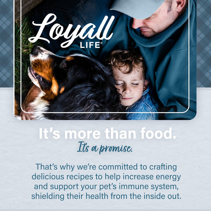 Nutrena® Loyall Life® Beef & Barley Recipe Adult Dog Food