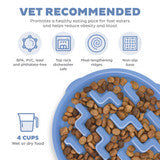 Outward Hound Fun Feeder Slo Bowl, Slow Feeder Dog Bowl