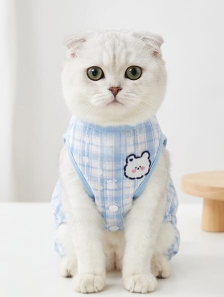 Pawsy Plaid Summer Romper ( blue )