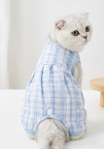 Pawsy Plaid Summer Romper ( blue )