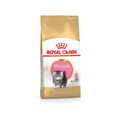 Persian Kitten Royal Canin Cat Food 400gm