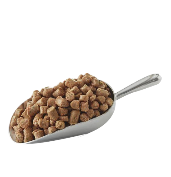 Primal Pet Foods Canine Raw Frozen Pronto