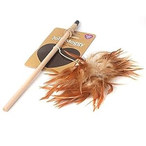 Rosewood Jolly Moggy Feather Teaser