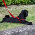 Rosewood Soft Protection Harness