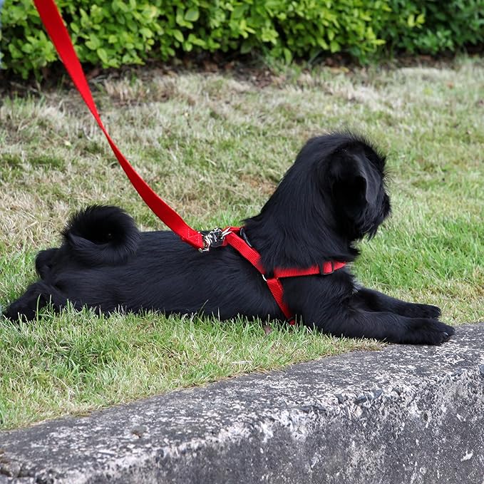 Rosewood Soft Protection Harness