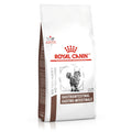Royal Canin Gastrointestinal Cat Dry Food - 2KG
