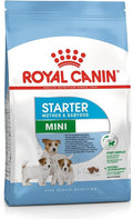 Royal Canin Mini Starter Mother & Babydog (1 KG) - Dry food for mini puppies.