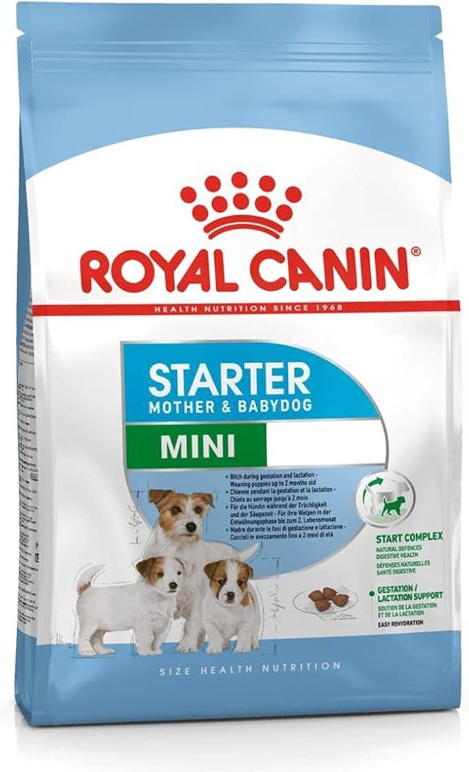 Royal Canin Mini Starter Mother & Babydog (1 KG) - Dry food for mini puppies.