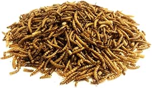 Select Dried Mealworm 1L