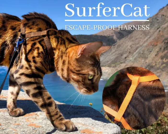 Solid Colors - Escape Proof Harness