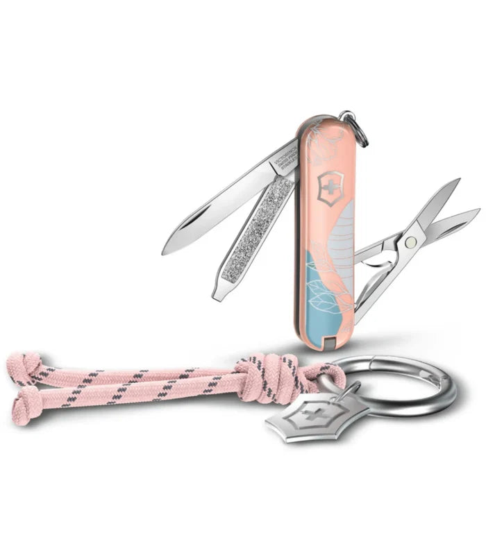 Removable key ring