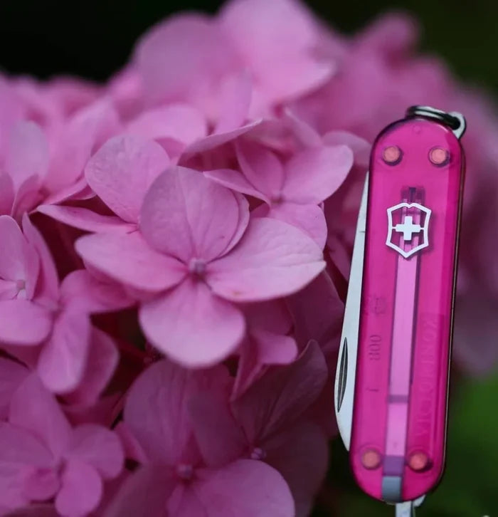 Victorinox Classic SD Translucent Swiss Army Knife - Cupcake Dream