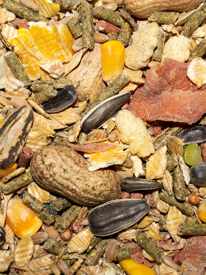 Volkman Seed Factory Rodent Gourmet