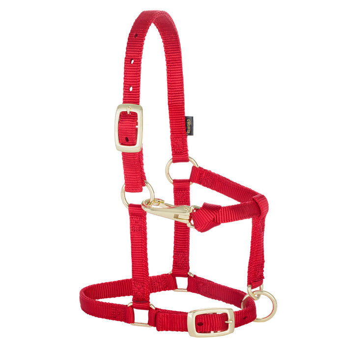 Weaver Miniature Horse Adjustable Chin & Throat Snap Halter