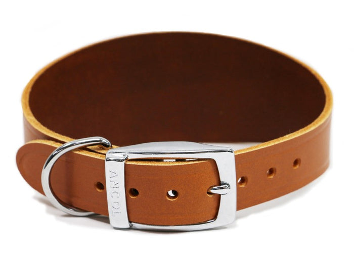 WHIPPET COLLAR Size 2