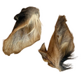 Wilder Ox Ears 5 pack