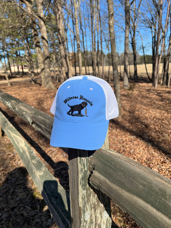 Nike Wildrose Mesh Back Powder Blue Hat