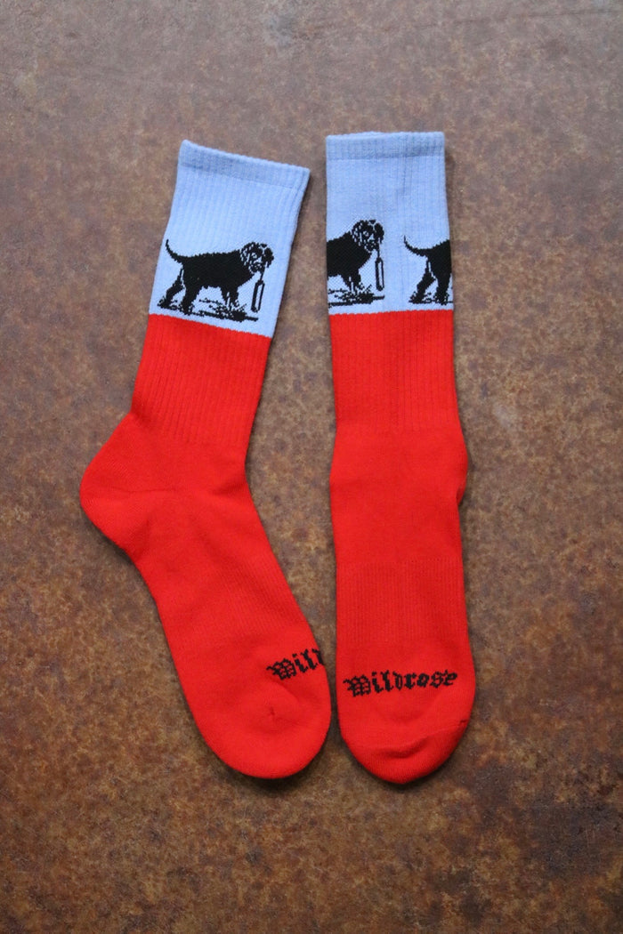 Wildrose Socks by Dead Soxy