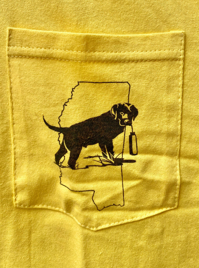 Yellow / XL